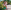 Screenshot 2019-09-06 at 15.33.18